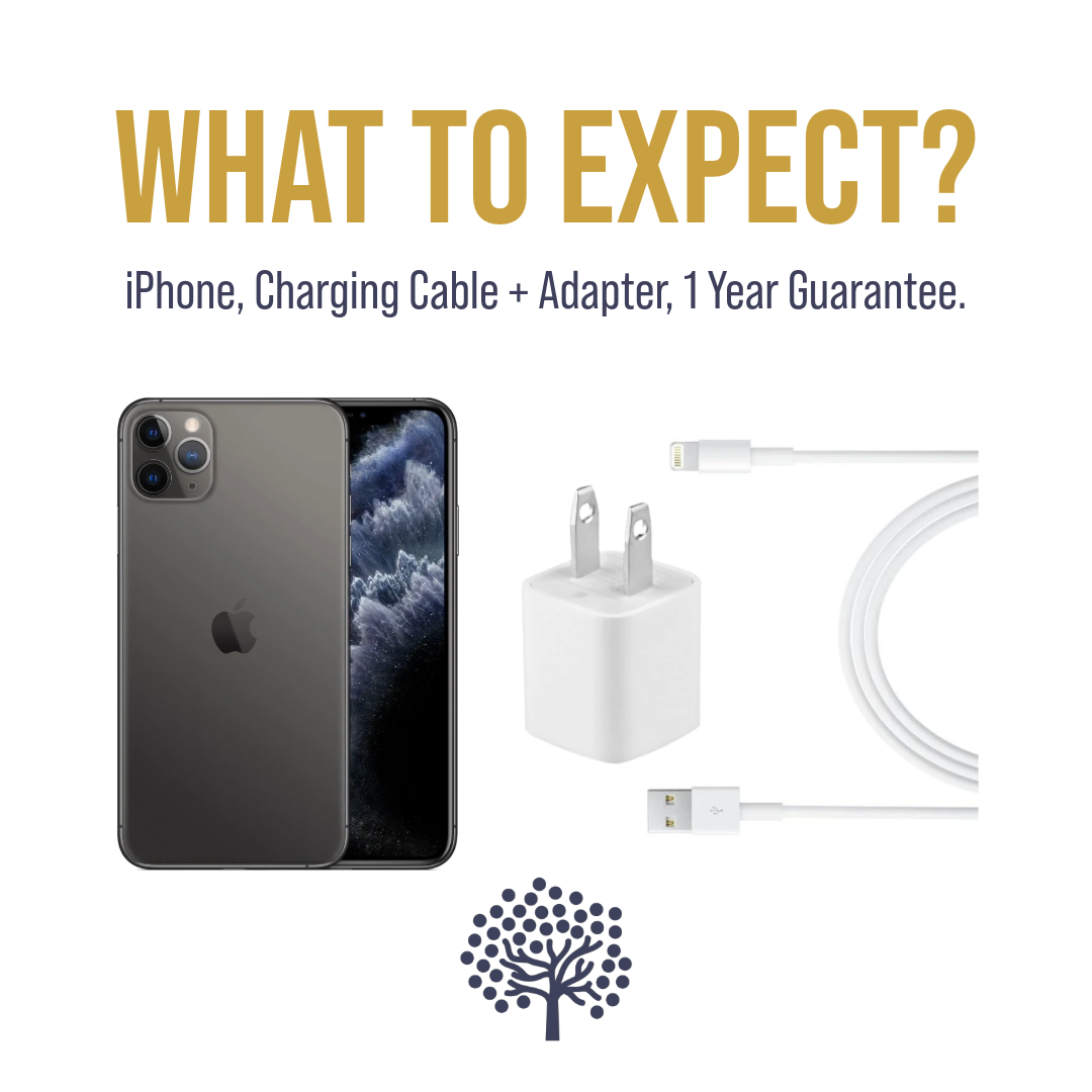 iPhone 11 Pro