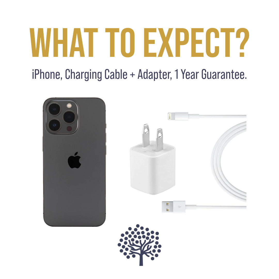 iPhone 15 Pro (256gb) - TITANIO BLANCO