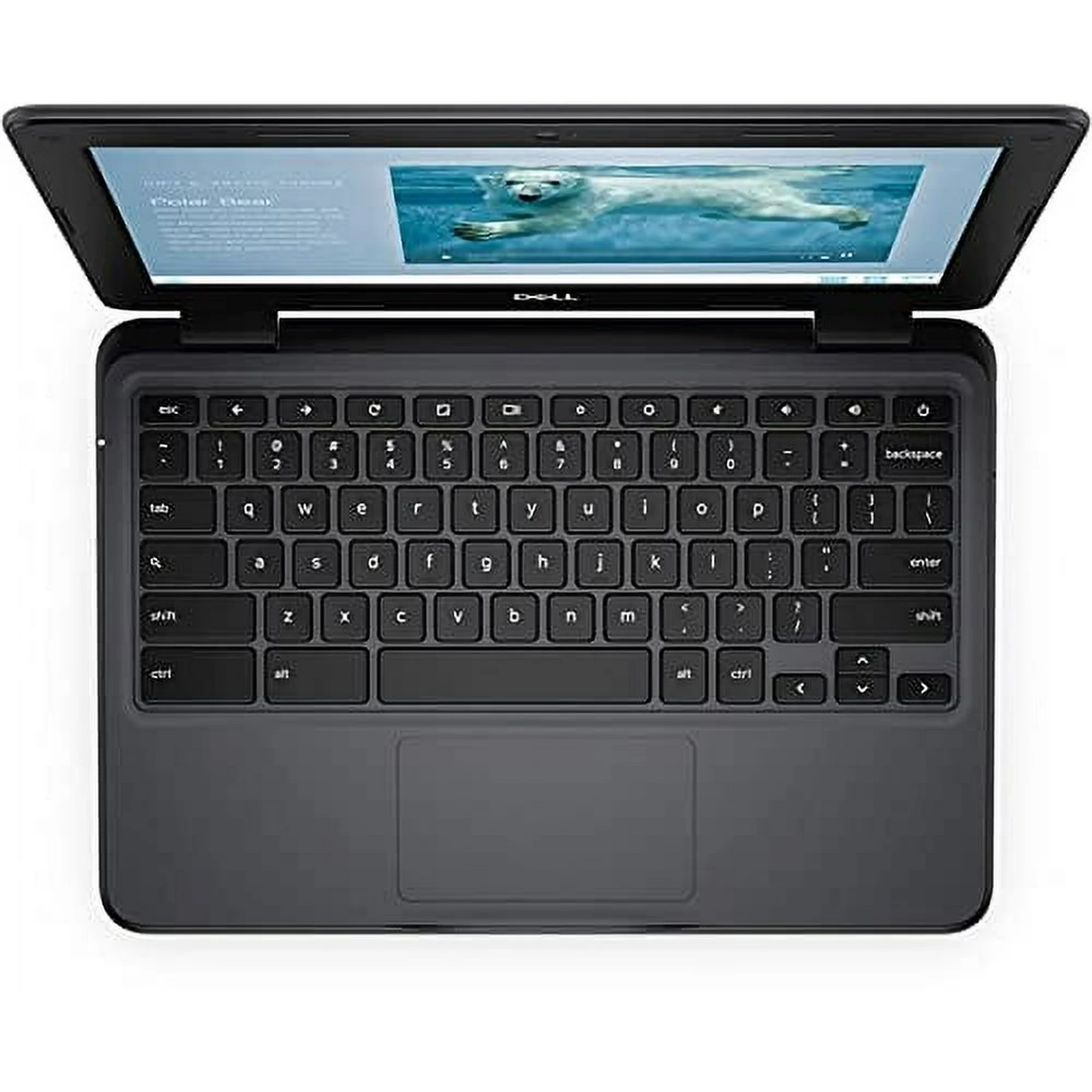 Dell (Chromebook) 3100 0KYC9A00