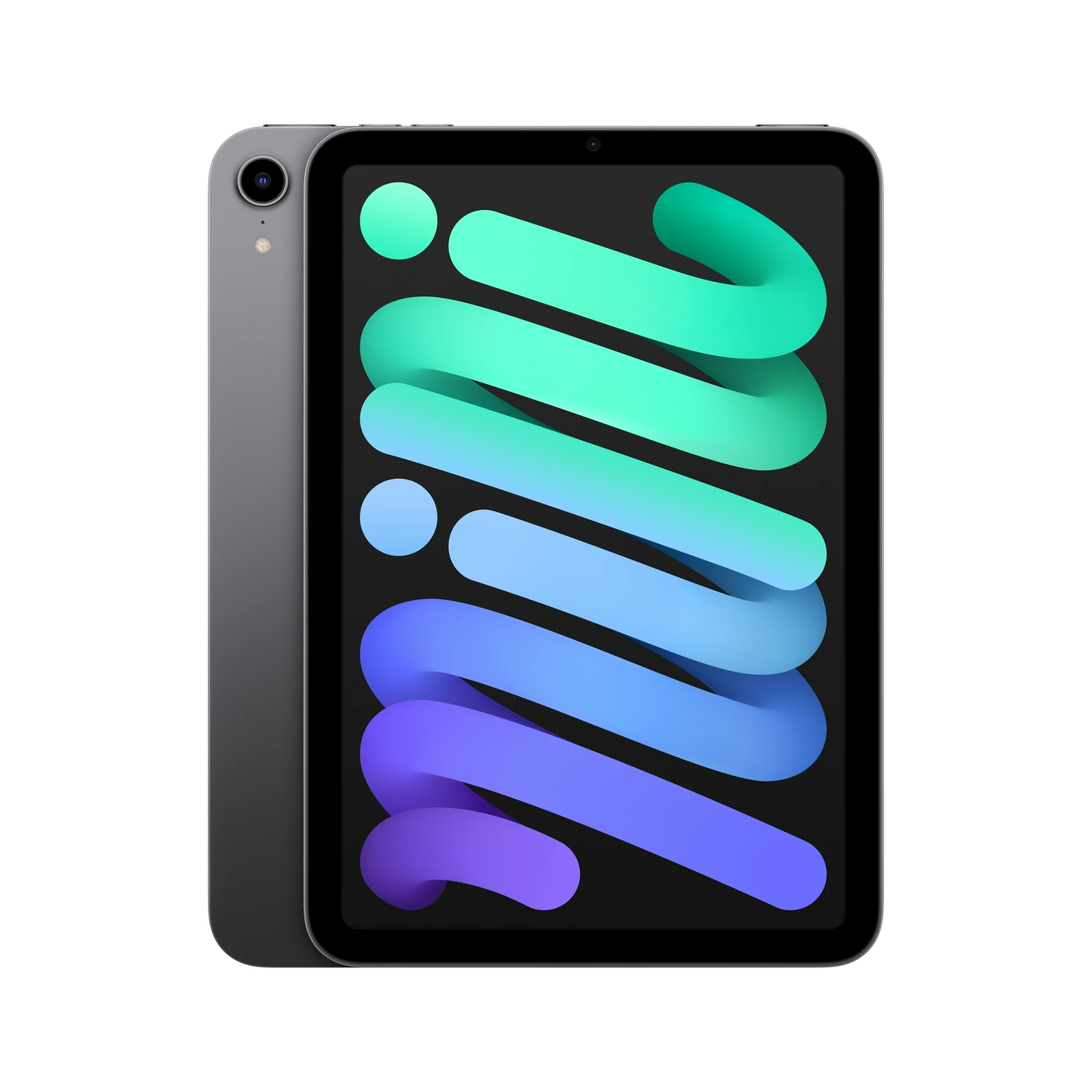 2021 iPad mini 6 (256gb + Wi-Fi)