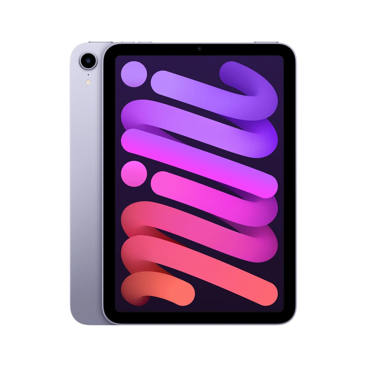 2021 iPad mini 6 (256gb + Wi-Fi)