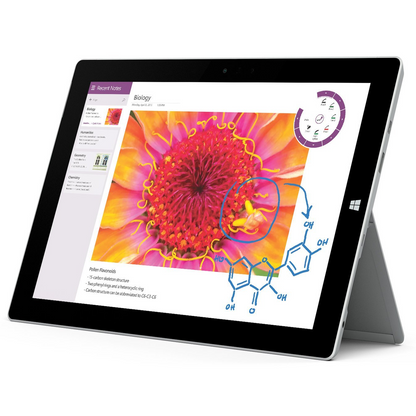 Microsoft (Windows) Surface 3