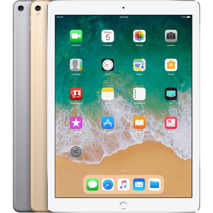 iPad Pro 12.9" (2nd Gen)